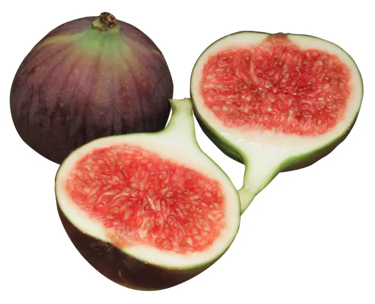 Whole and Sliced Figs