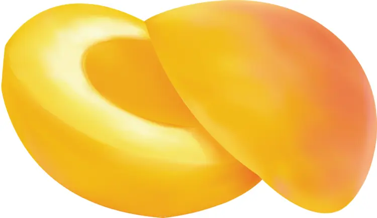Yellow Apricot Half and Slice