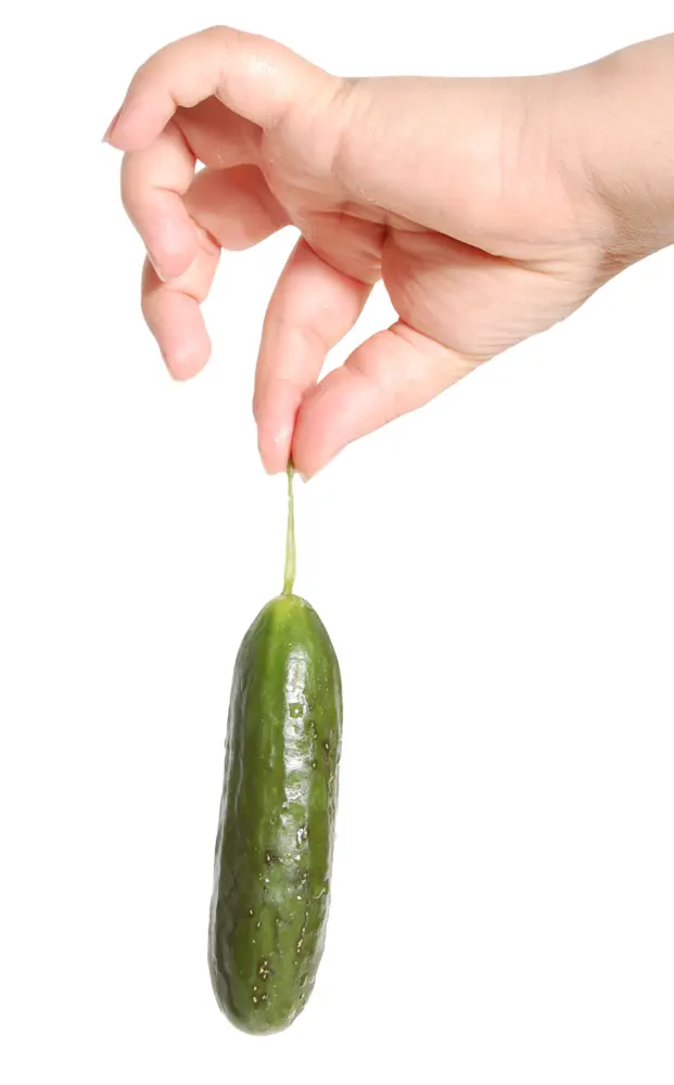 Hand Holding Fresh Cucumber