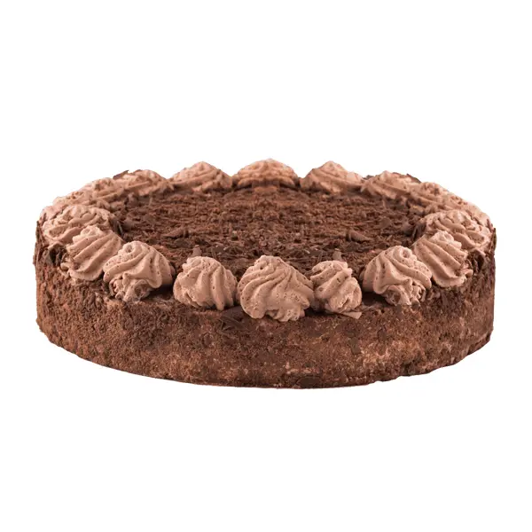 Delicious Chocolate Cake with Frosting