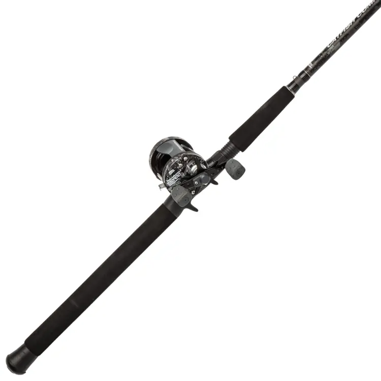 Fishing Rod with Reel