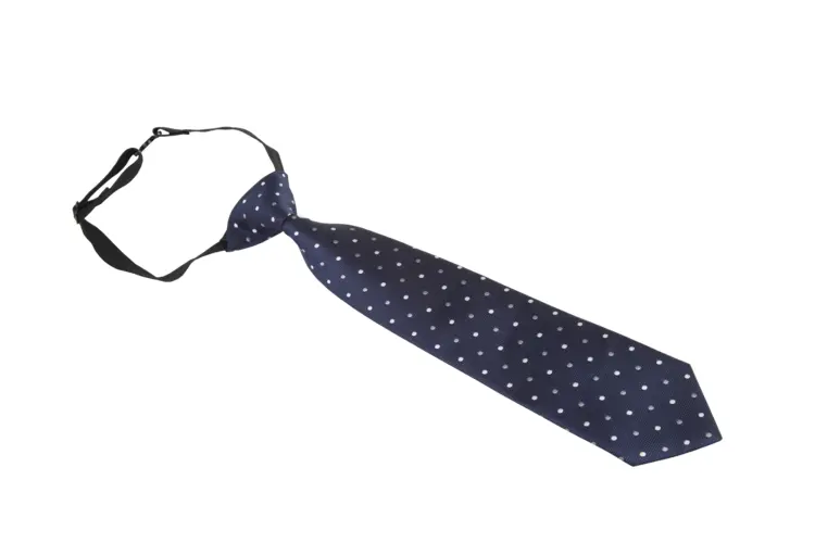 Blue Polka Dot Formal Tie