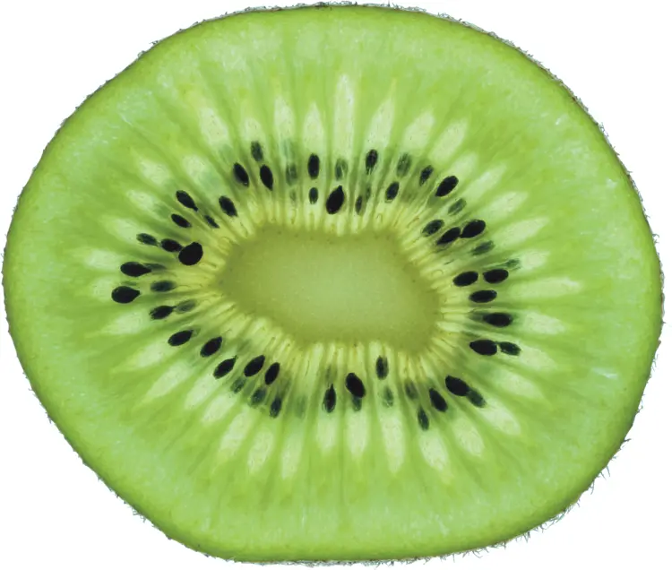 Green Kiwi Slice with Seeds