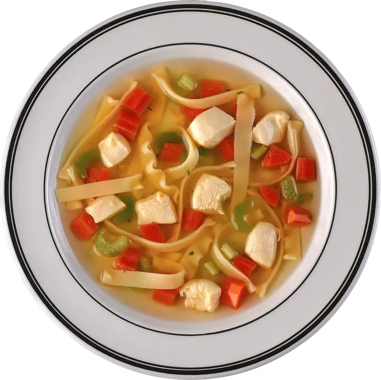 Chicken Noodle Soup with Vegetables