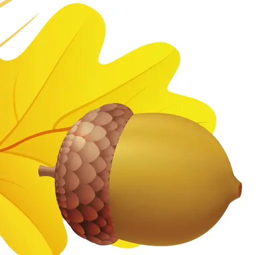 Acorn with Yellow Leaf