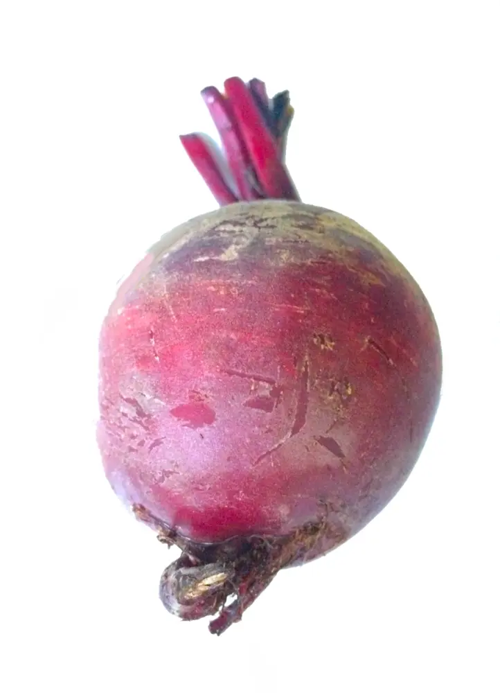 Whole Red Beetroot