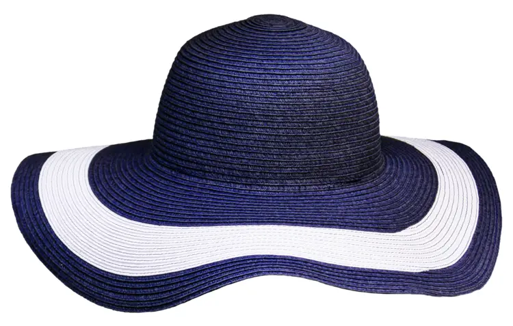 Stylish Blue and White Sun Hat