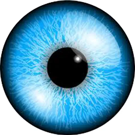 Blue Eye with Detailed Iris