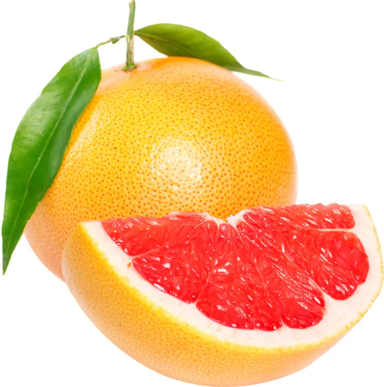 Grapefruit with Leaves