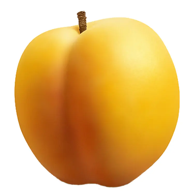 Single Fresh Yellow Apricot with Stem