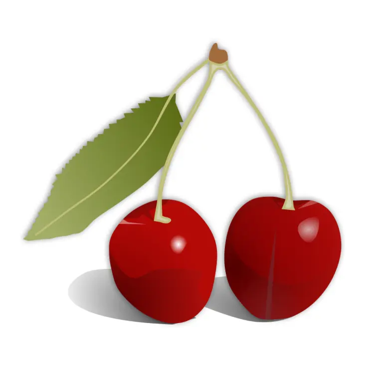 Pair of Red Cherries
