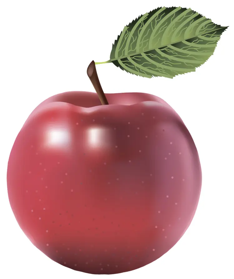 Fresh Red Apple