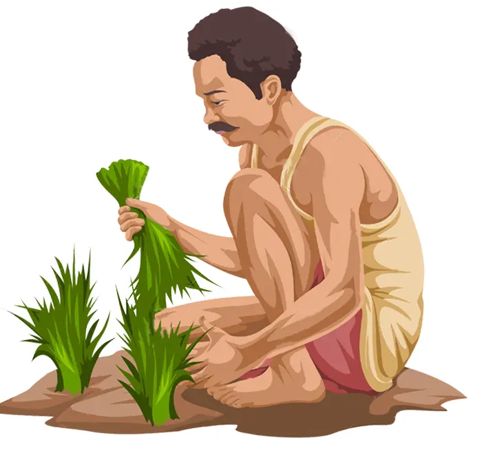 Farmer Planting Grass