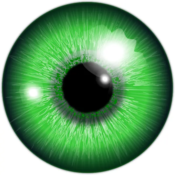 Detailed Green Eye Illustration
