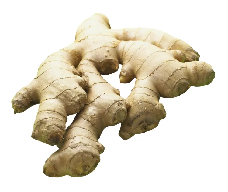 Fresh Ginger Root