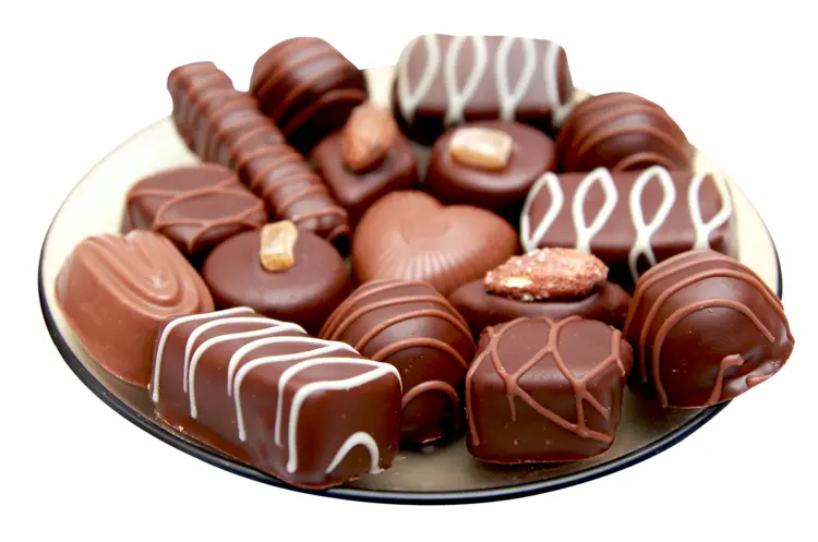 Assorted Chocolates on a Plate