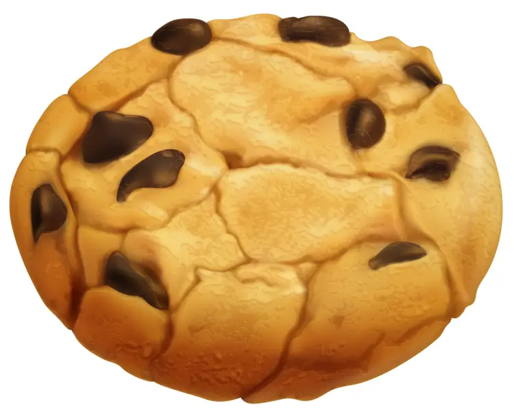Delicious Chocolate Chip Cookie