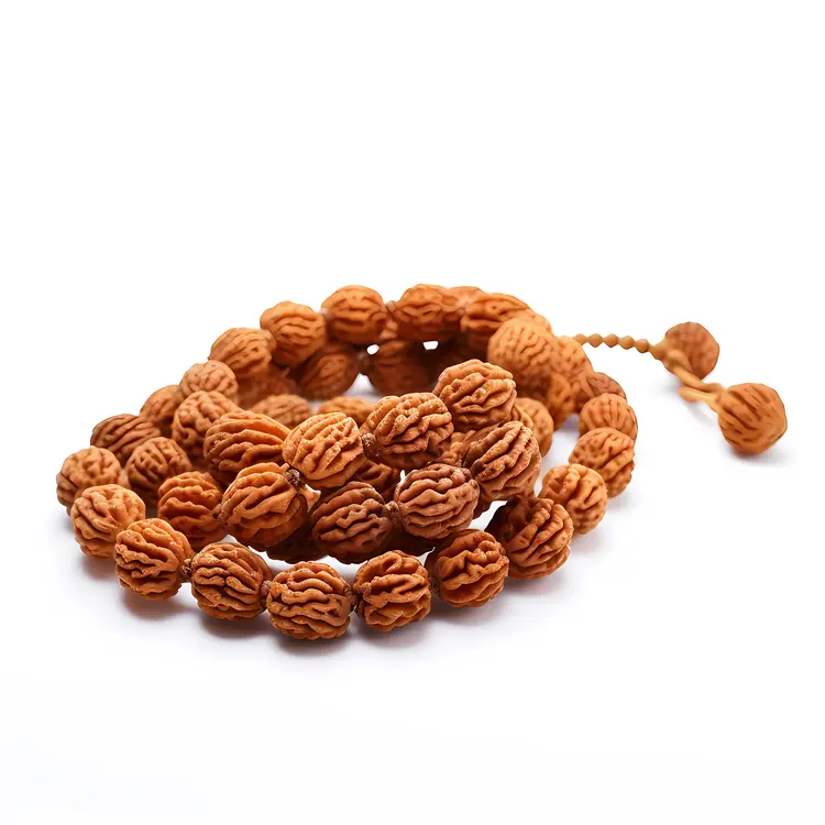Rudraksha Beads for Prayer and Meditation