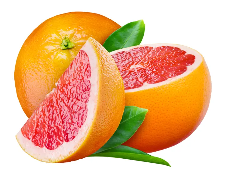 Fresh Grapefruit with Leaves
