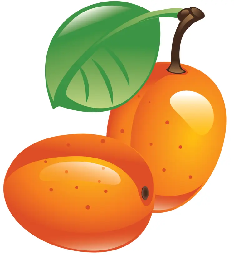 Juicy Orange Fruits with Leaf