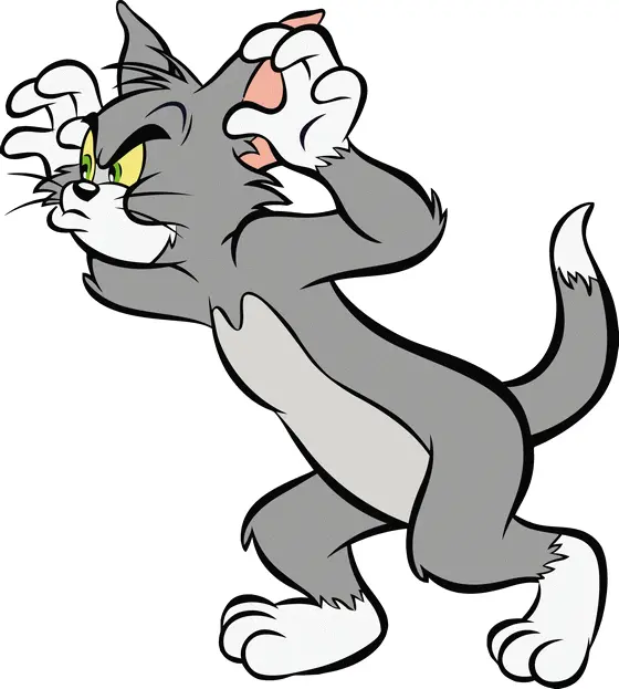 Angry Gray Cat with Claws Out