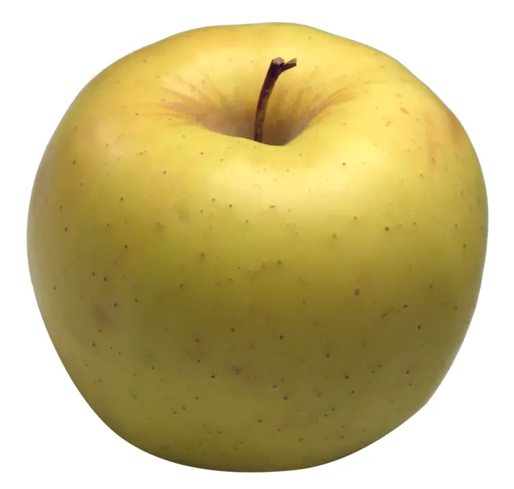Golden Yellow Apple