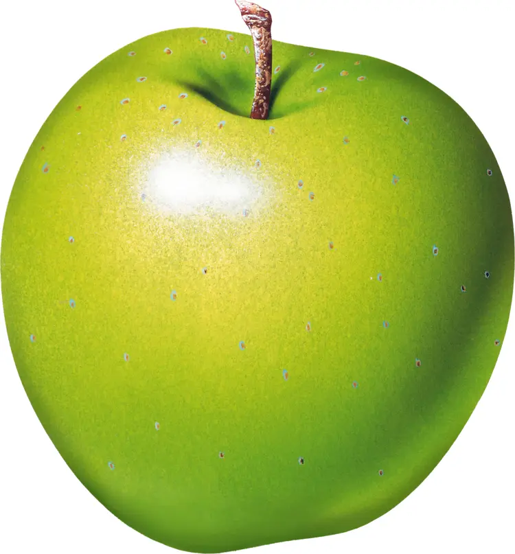 Fresh Green Apple