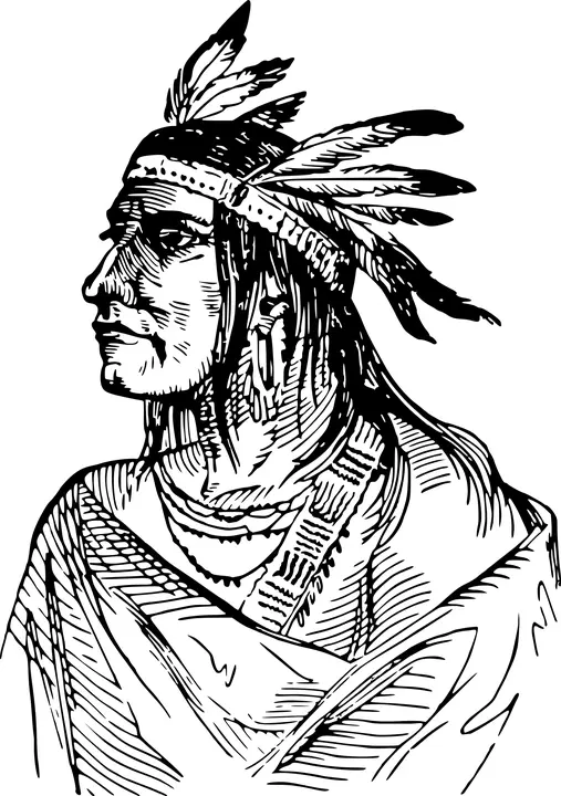 Native American Head with Headdress Illustration