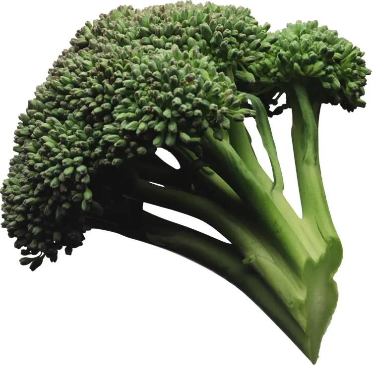 Fresh Green Broccoli