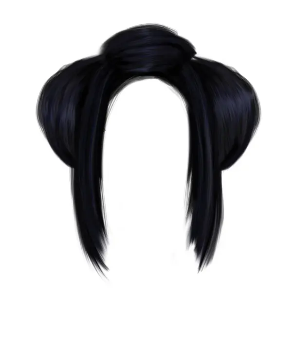 Elegant Black Bun Hair