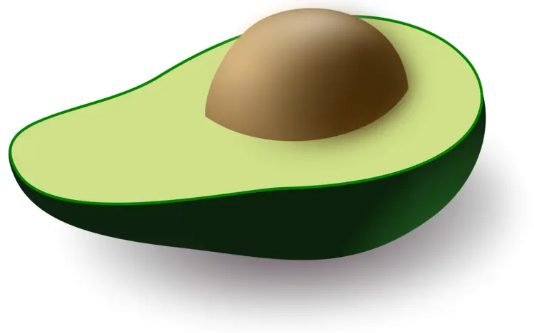 Half Avocado with Seed