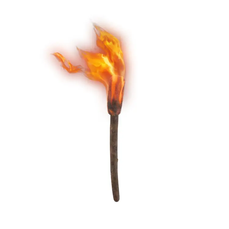 Burning Torch with Flames
