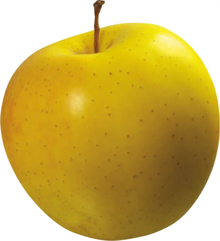 Golden Delicious Yellow Apple