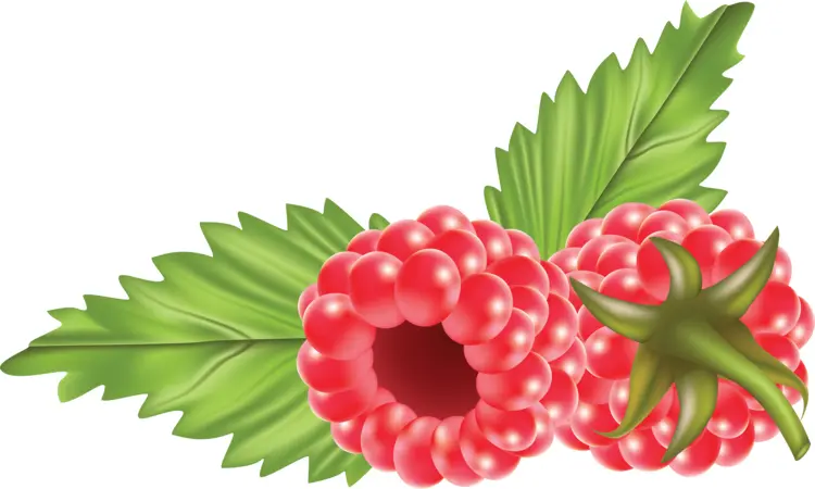 Fresh Raspberries with Green Leaves