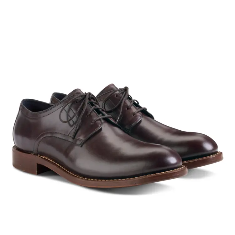 Elegant Brown Dress Shoes for Formal Occasions