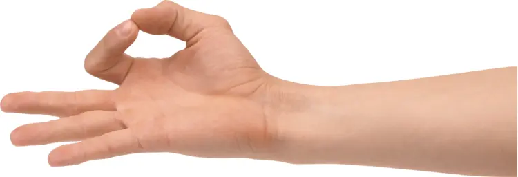 Hand Gesture with Fingers Forming a Circle