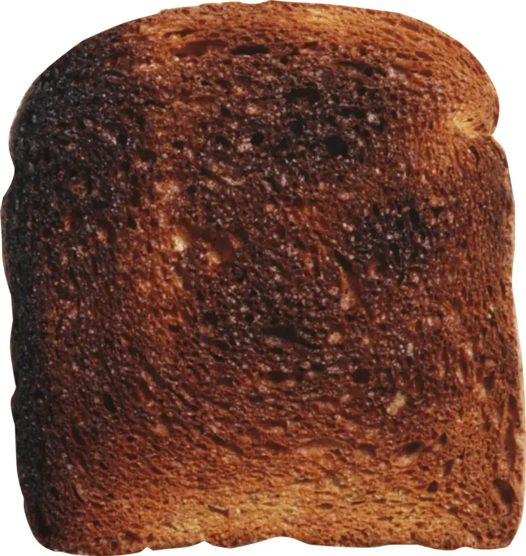 Toasted Bread Slice