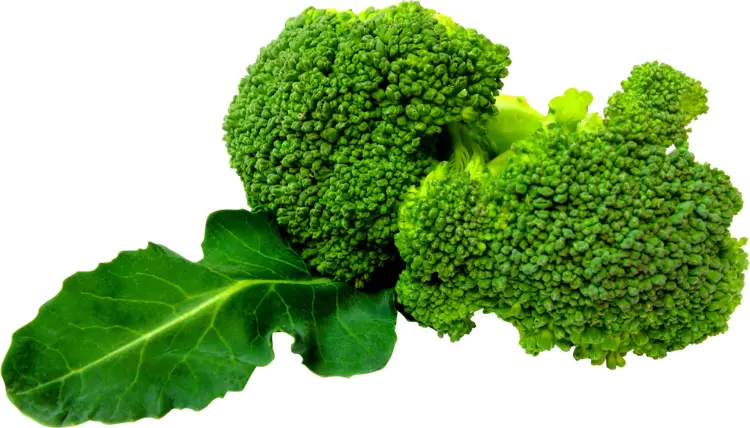 Fresh Green Broccoli