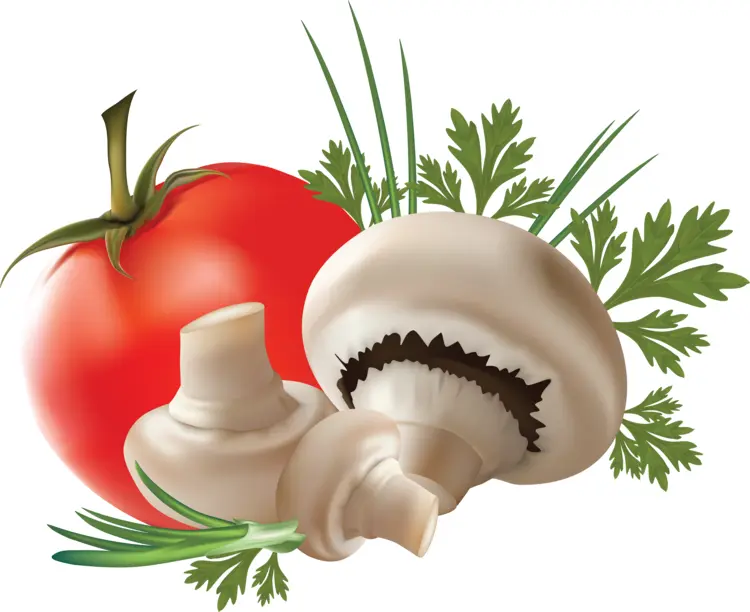 Fresh Mushrooms and Tomato Illustration