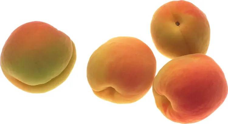 Juicy Sweet Peaches