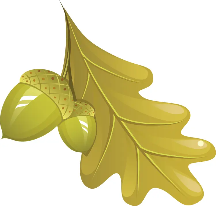 Golden Oak Leaf and Acorns