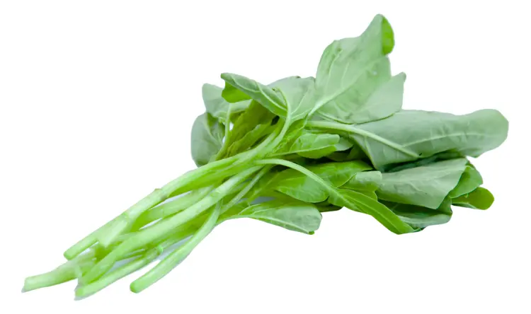 Fresh Green Kale