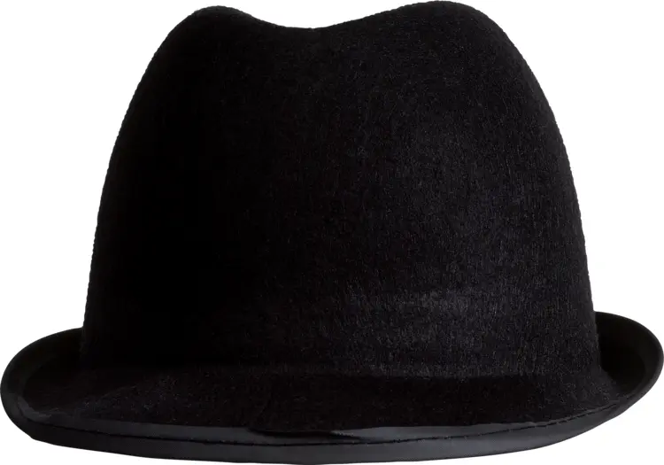 Elegant Black Fedora Hat