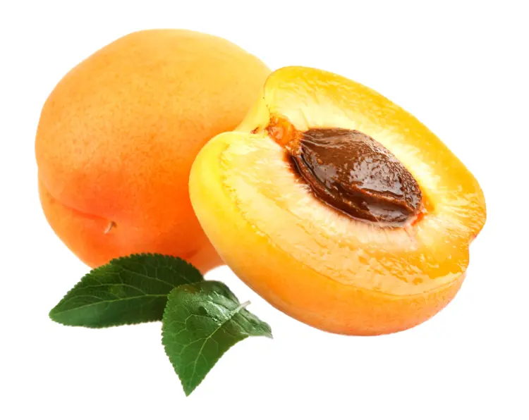 Whole and Half Apricot with Leaf