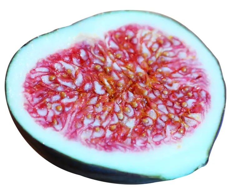 Sliced Fig