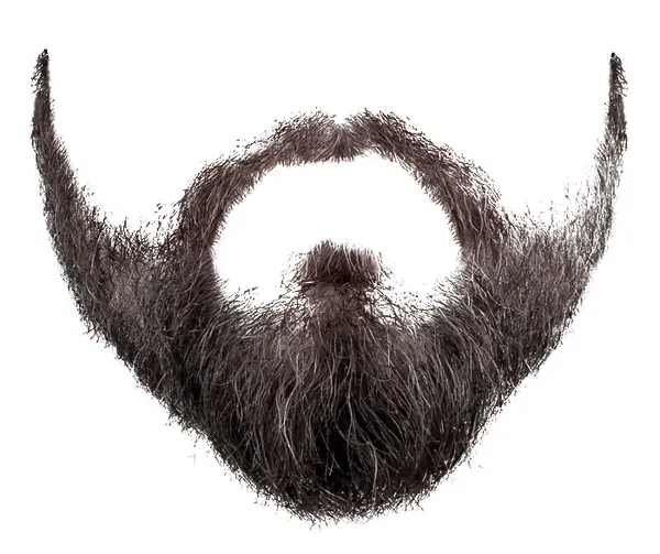 Realistic Black Beard Illustration