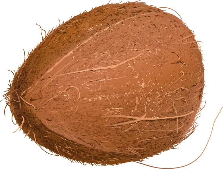 Whole Brown Coconut