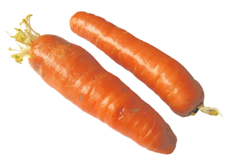 Fresh Orange Carrots