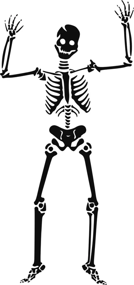 Spooky Skeleton Illustration
