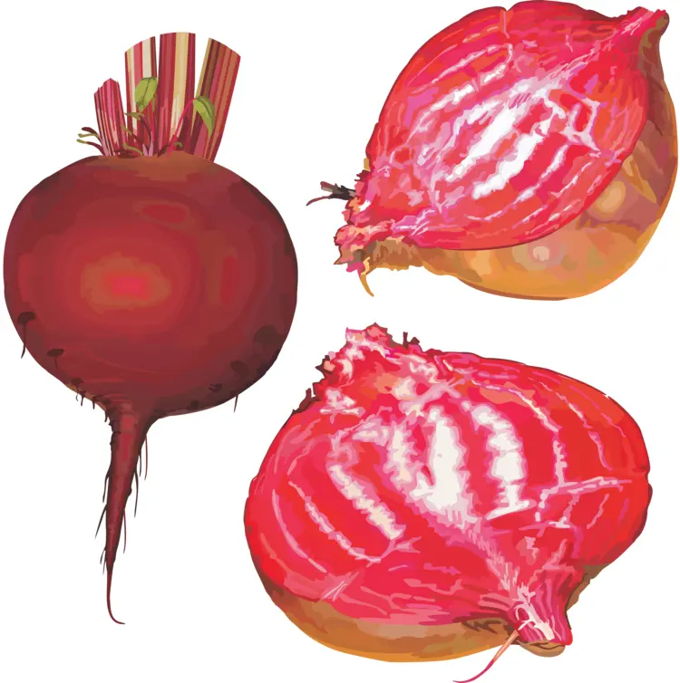 Sliced Beetroot with Green Leaves
